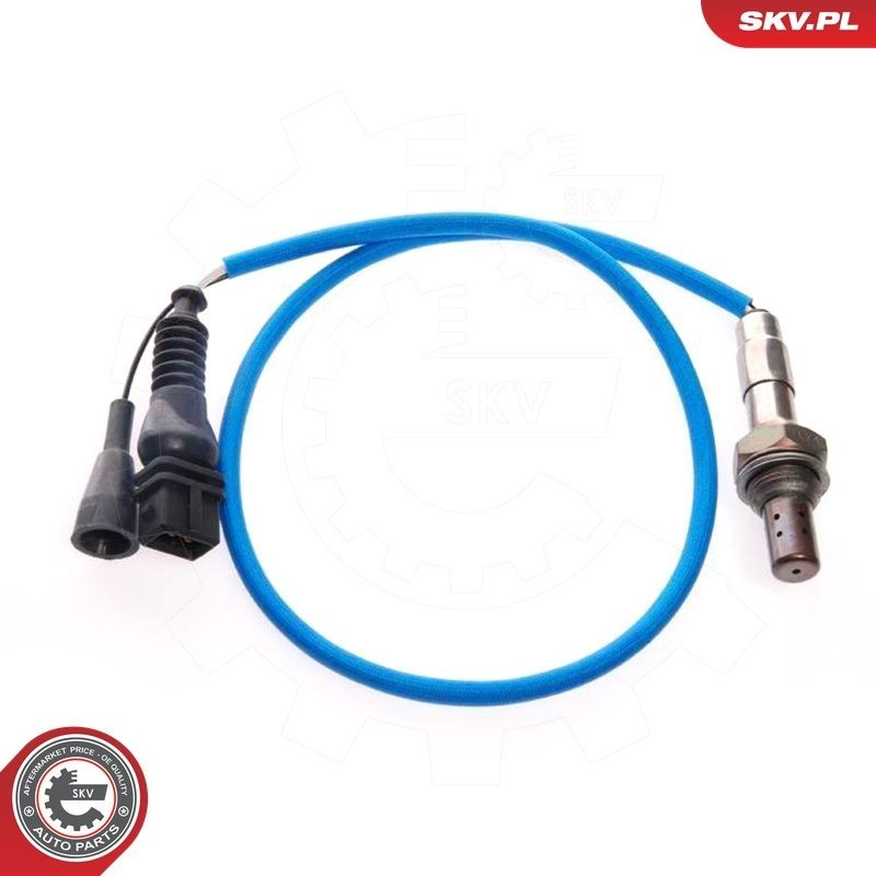 09SKV063 SKV